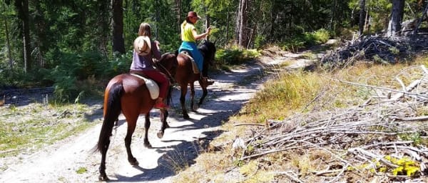 Private Horse Riding Tour To the Perelik Top in Smolyan