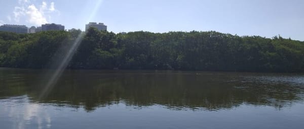 Half-Day Boat Tour in Marapendi Lagoon from Rio de Janeiro