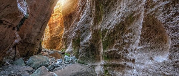 Jeep Safari to Akamas National Park: Avakas Gorge Tour from Paphos