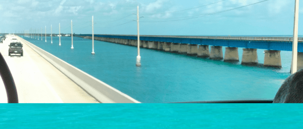 Key West Tours from Miami: Dolphin Discovery, Snorkeling & More !