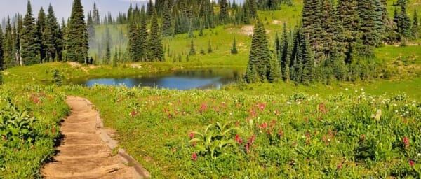 Private Mt Rainier National Park Tour in SUV