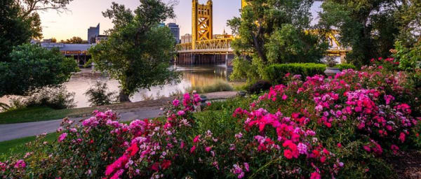 Romantic Sacramento Outdoor Escape Game