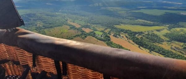 Half-Day Tsarev Brod Winery and Walking Tour