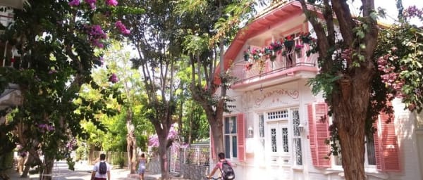 Istanbul: Princes Islands Tour with Hotel Transfer & Lunch
