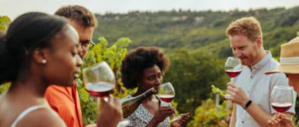 Novisad Ethnic Village Serbian Wine Tasting Tour
