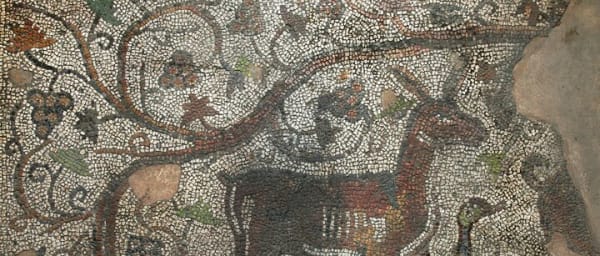 Archaeological tour-From the Neolithic to Modern times in Augusta Trayana
