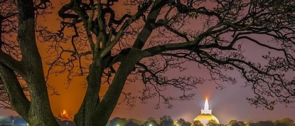 Anuradhapura & Mihintale Private Day Tour From Trincomalee