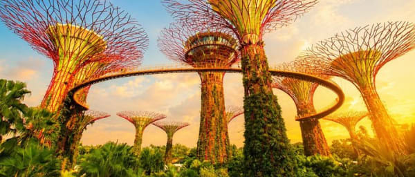 Singapore: Gardens by the Bay Admission E-Ticket