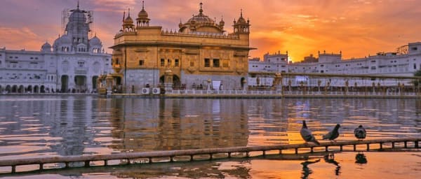 Amritsar's Golden Bliss and Border Spectacle Private Tour