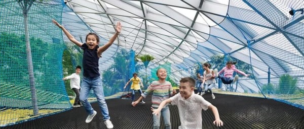Jewel Changi Airport: Walking Net + Complimentary Canopy Park