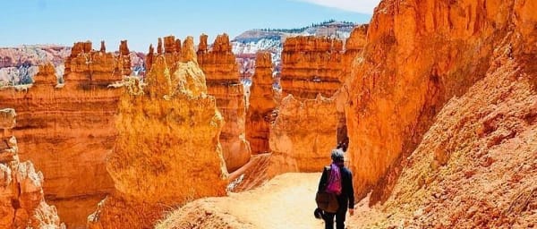 Small Group Day Tour To Explore Bryce Canyon & Zion National Park