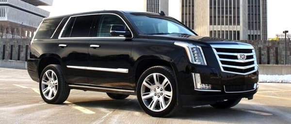 Arrival Private Transfer: Tampa Airport TPA to Tampa City in Luxury SUV