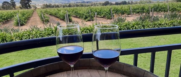 Private Tour of 3 Top Winelands with Wine Tasting from Cape Town