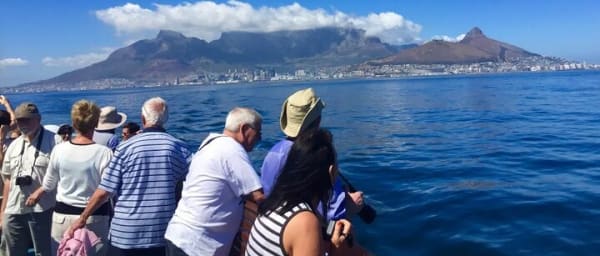 Robben Island, Kirstenbosch Gardens and Groot Constantia Tour