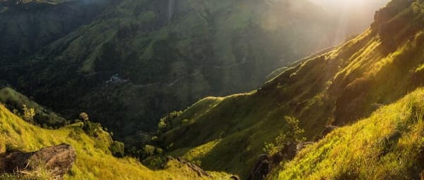 Ella Day Tour with Tea Factory Visit From Colombo or Negombo