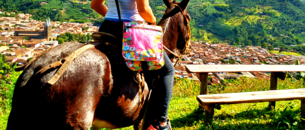 Tour a Jardin Con Cabalgata