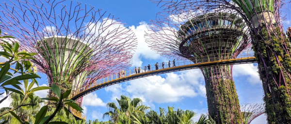 Singapore Morning Tour: Gardens by the Bay & Sentosa Transfer