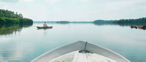 Muthurajawela Bird Watching Day Tour from Colombo or Negombo