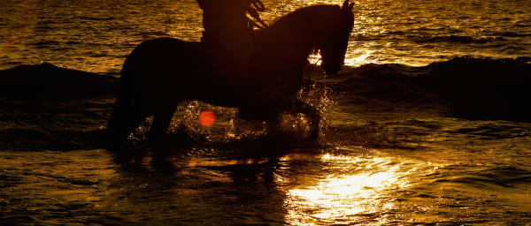 Paseo en Caballo en Manzanillo Cartagena