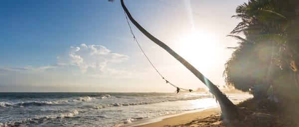 Southern Sri Lanka Day tour from Hambantota