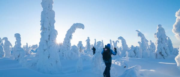 6-Hour Snowshoe Hike in Riisitunturi National Park with Open Fire