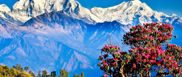 5-Day Annapurna Trek from Pokhara with Poon Hill and Ghandruk
