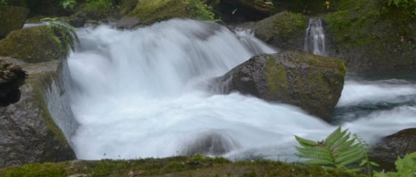 3-Day Marike Nature Tour from Medan with Rafting and Jungle Trekking
