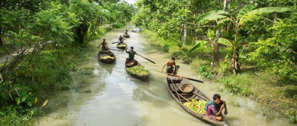 12-Day Cultural and Wildlife Tour of Bangladesh with Sundarbans Homestay