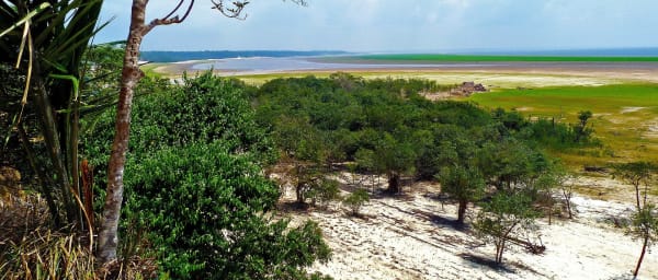 7-Day Amazon Rainforest Jungle Expedition in Ecuador with Homestay