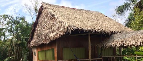 4-Day Amazon Jungle Expedition from Iquitos with Tribal Encounters