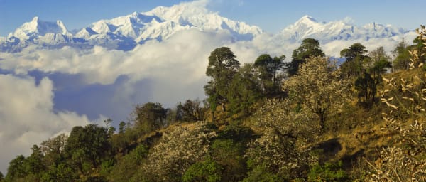 8-Day Darjeeling Singalila Ridge Trek with Sandakphu and Phalut