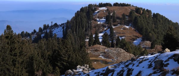 Full-Day Mushkpuri Peak Hike from Islamabad via Donga Gali
