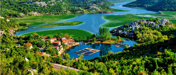 3-Hour Virpazar and Skadar Lake Boat Tour with National Park Cruise