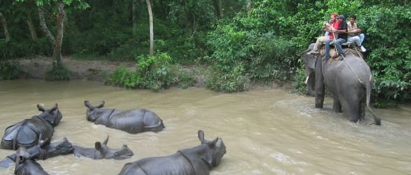 3-Day Chitwan National Park Safari with Tharu Dance Experience