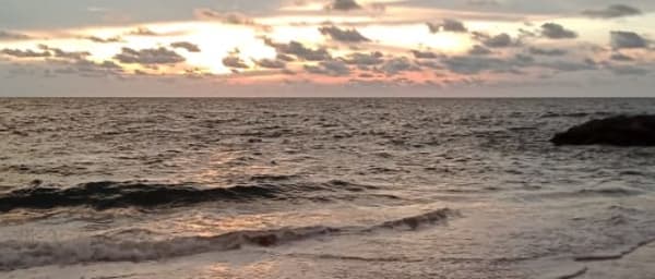7-Day Sri Lanka Highlights Tour from Colombo with Sigiriya and Kandy