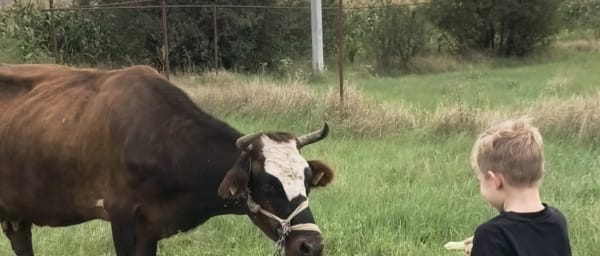Full-Day Family Farm Adventure in Georgia with Cheese Making