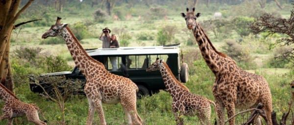 4-Day Lake Nakuru and Masai Mara Safari with Masai Village Visit