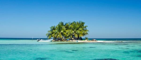 1-Day Snorkelling Tour in Placencia with Sharks, Rays and Turtles