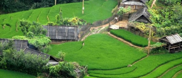 4-Hour Walking Tour in Cat Cat Village with Black H'Mong Culture
