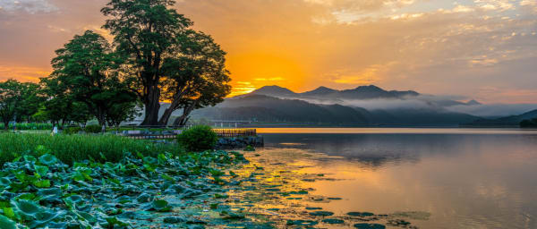 1-Day Yangpyeong Nature Tour from Seoul with Temple and Fortress
