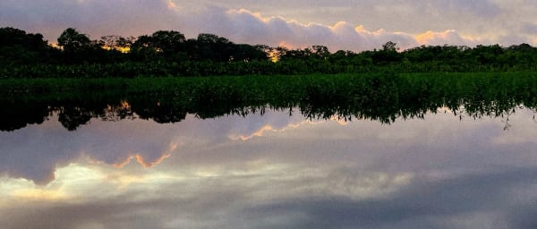 5-Day Amazon Expedition in Yasuní with Napo River and Pink Dolphins