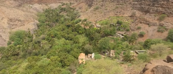 2-Hour Walking Tour of Cidade Velha with Ruins and Grogue Distilleries