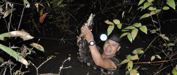 4-Day Amazon Jungle Tour from Iquitos with Pink Dolphins and Wildlife