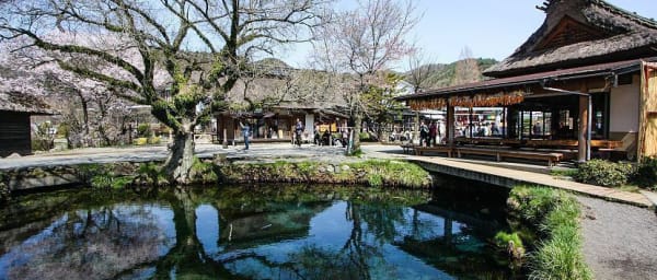 1-Day Mount Fuji Tour from Tokyo with Oshino Hakkai and Kawaguchiko