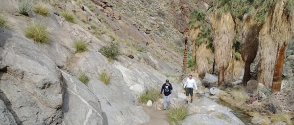 2.5-Hour Hiking Tour in Palm Springs through Andreas and Murray Canyons