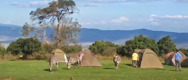 7-Day Tanzania Wildlife Safari through Serengeti and Ngorongoro