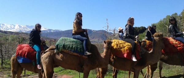 1-Day Atlas Mountains Tour to Imlil and Asni with Camel Ride