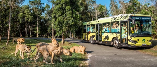 1-Day Phu Quoc Safari Tour with Vinpearl Wildlife Encounters
