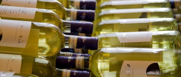 8-Hour Siena and Chianti Wine Tour from Florence with San Gimignano