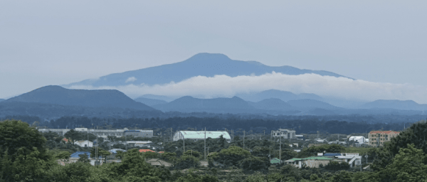 Full-Day Jeju South Coast Tour with Hallasan and Tea Museum